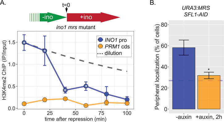 Figure 6—figure supplement 1.