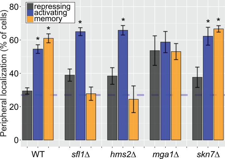 Figure 3—figure supplement 1.