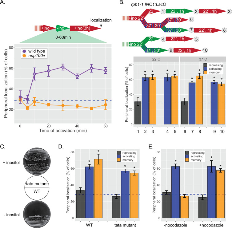 Figure 1—figure supplement 2.