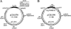 FIG. 1.