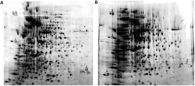 FIGURE 10