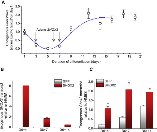 Figure 2