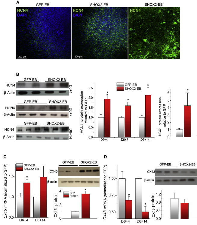 Figure 3