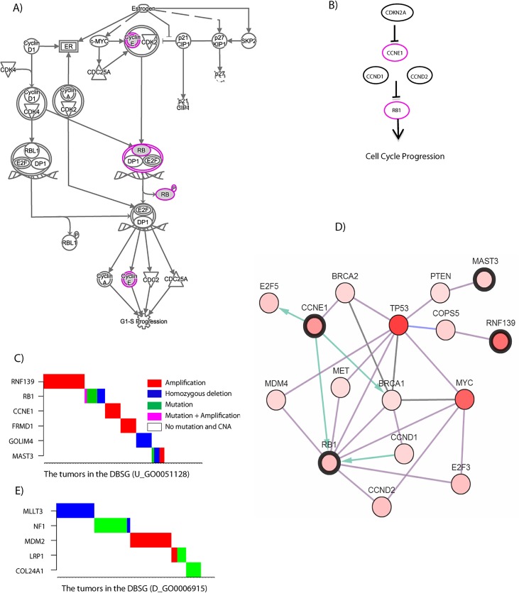 Fig 4