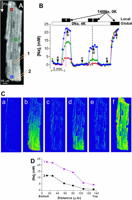 FIGURE 5