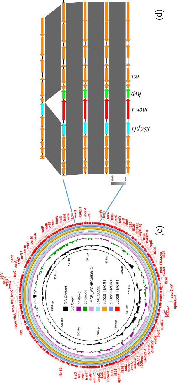 FIG 1