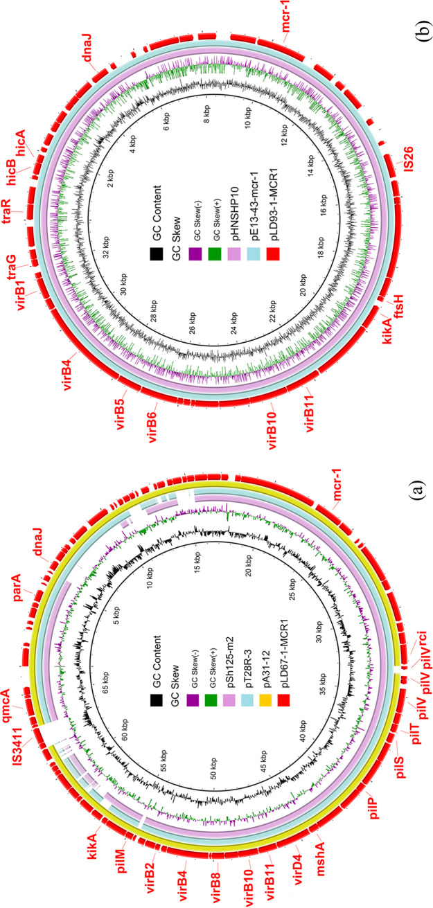 FIG 1