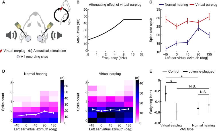 Figure 5