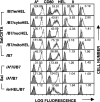 Fig. 4
