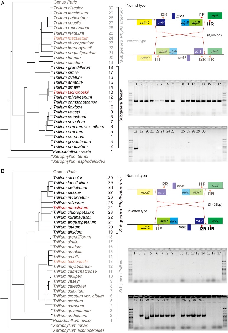 Figure 3.