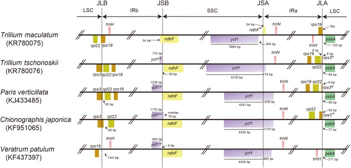 Figure 2.