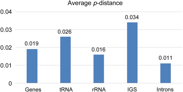 Figure 4.