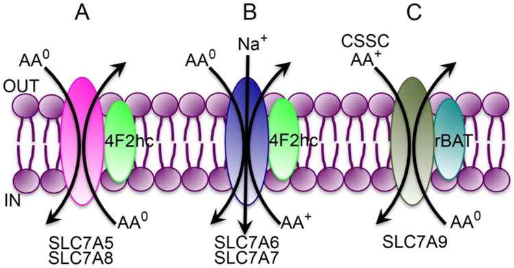 Fig. 3