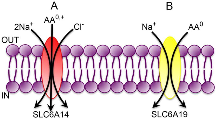 Fig. 2