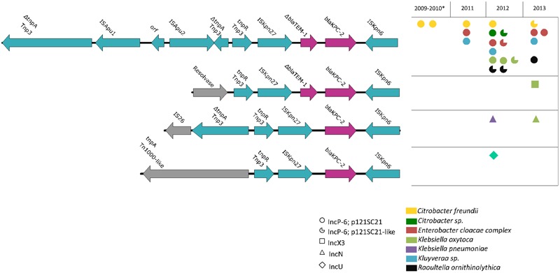 FIGURE 3