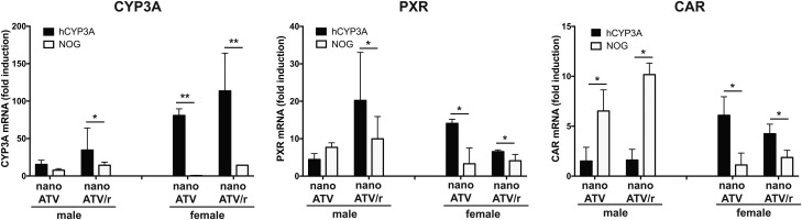 Fig. 6.