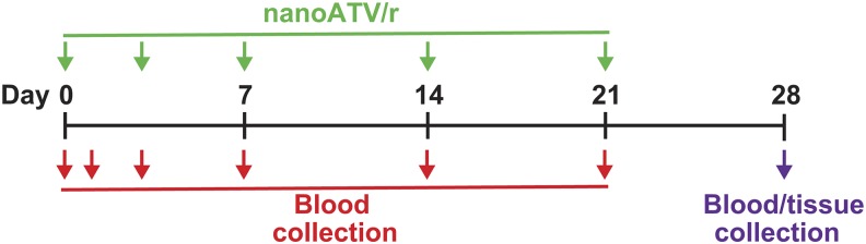 Fig. 1.