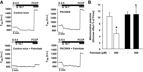 FIG. 5.