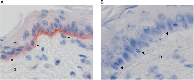 Fig 5