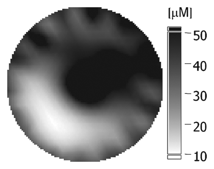 Figure 2c: