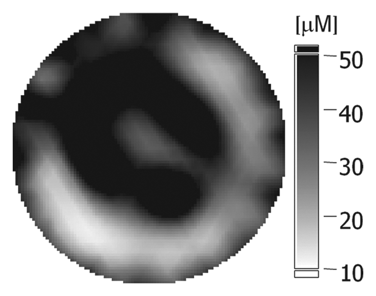 Figure 2b: