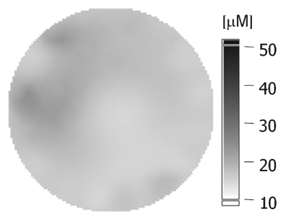 Figure 1c: