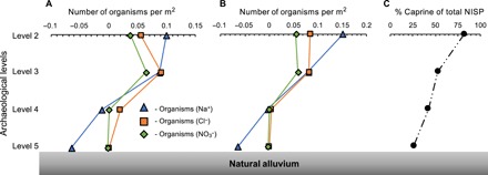 Fig. 6