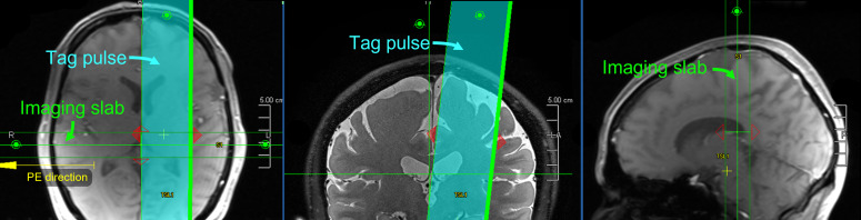 Supplementary Fig. 1