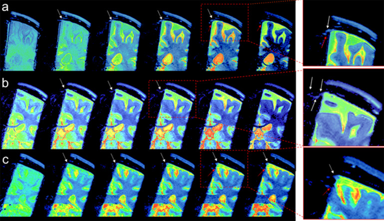 Supplementary Fig. 2