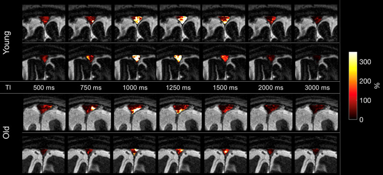 Supplementary Fig. 3