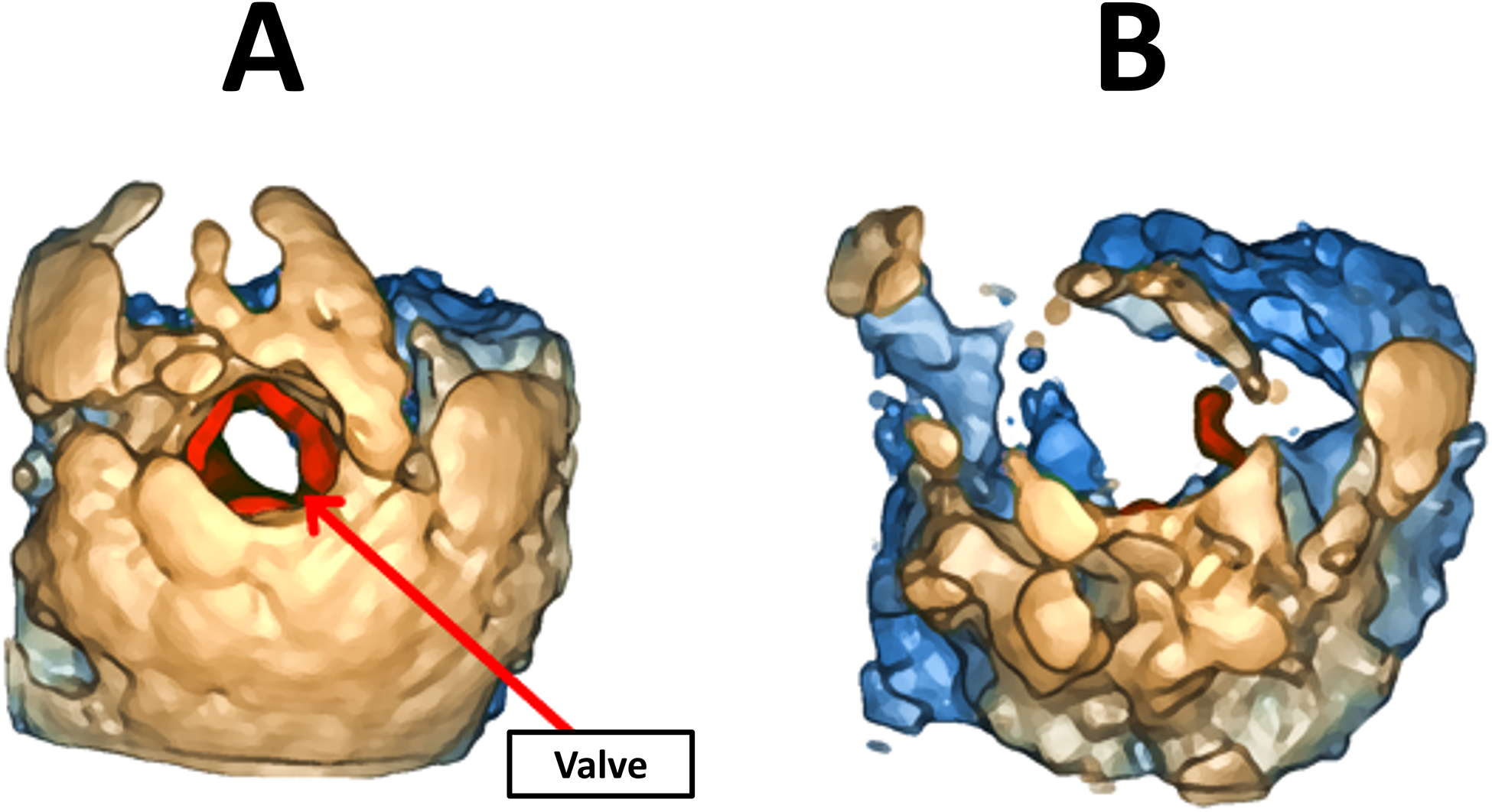 Figure 3.