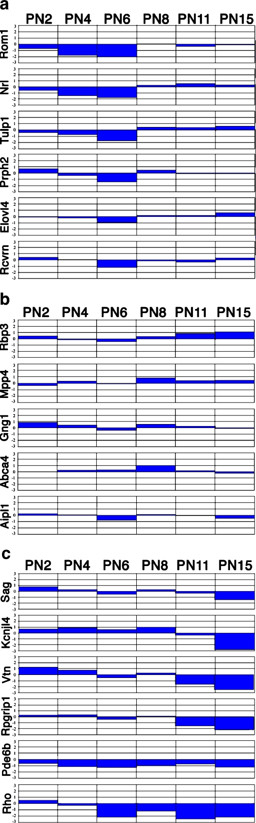 Fig. 8