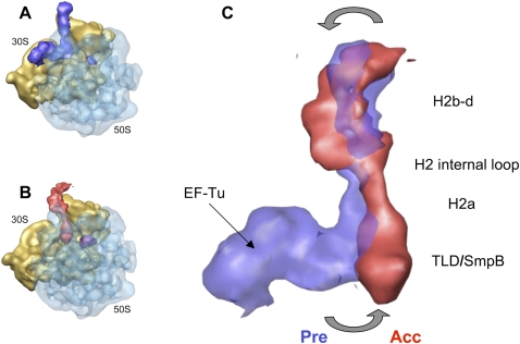 FIGURE 4.