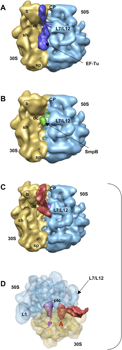 FIGURE 2.