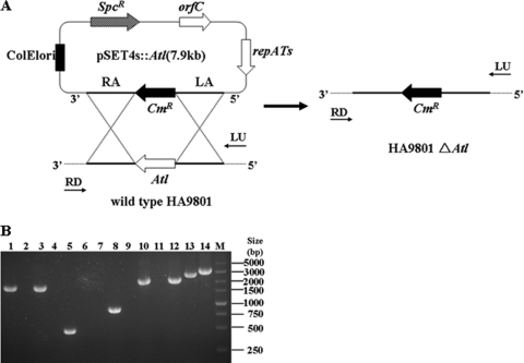 Fig 4