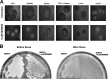 FIG 3