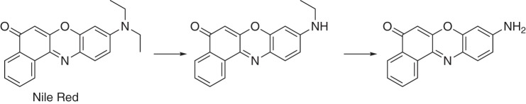 Figure 7.