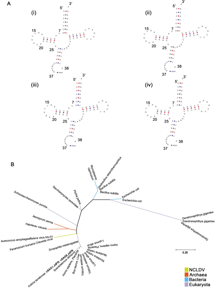 Fig. 4