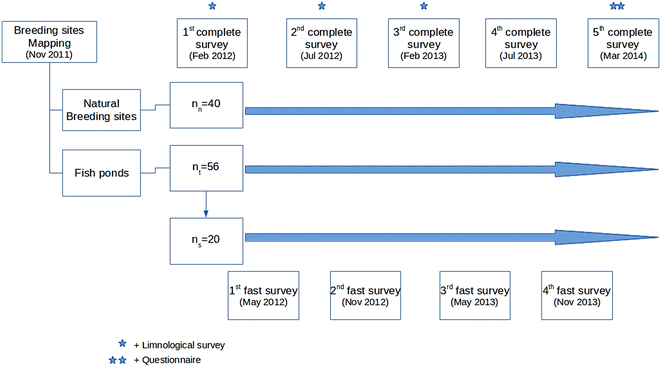Fig. 2