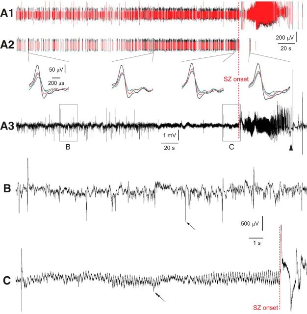 Figure 3.