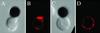 Fig 3.