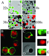 Fig 8.