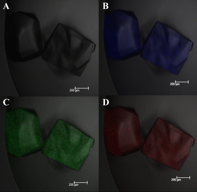 Figure 11