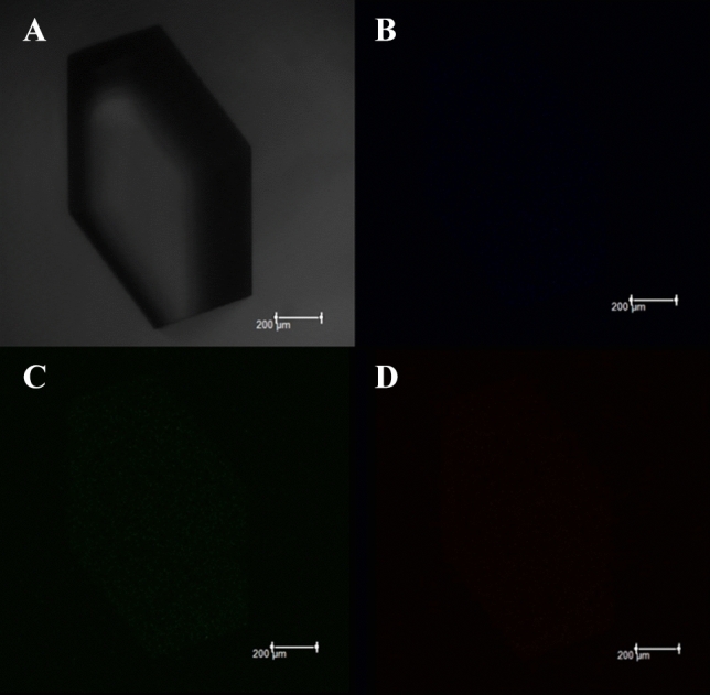 Figure 10