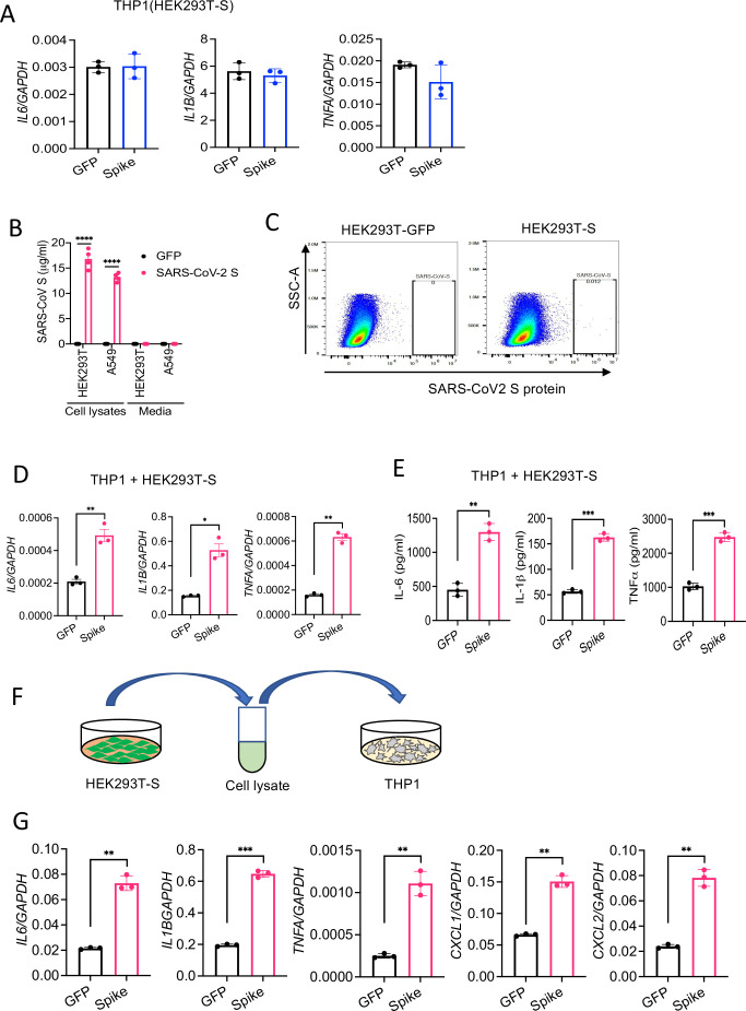 Figure 3—figure supplement 2.