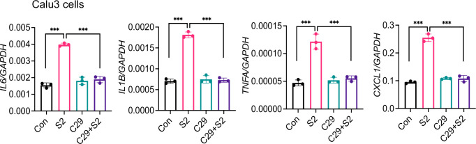 Figure 5—figure supplement 2.