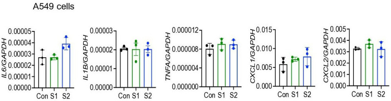 Figure 2—figure supplement 1.