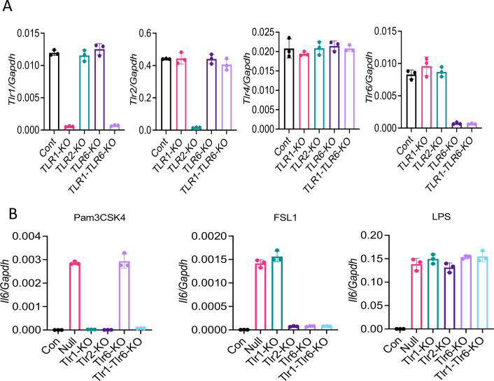 Figure 6—figure supplement 2.