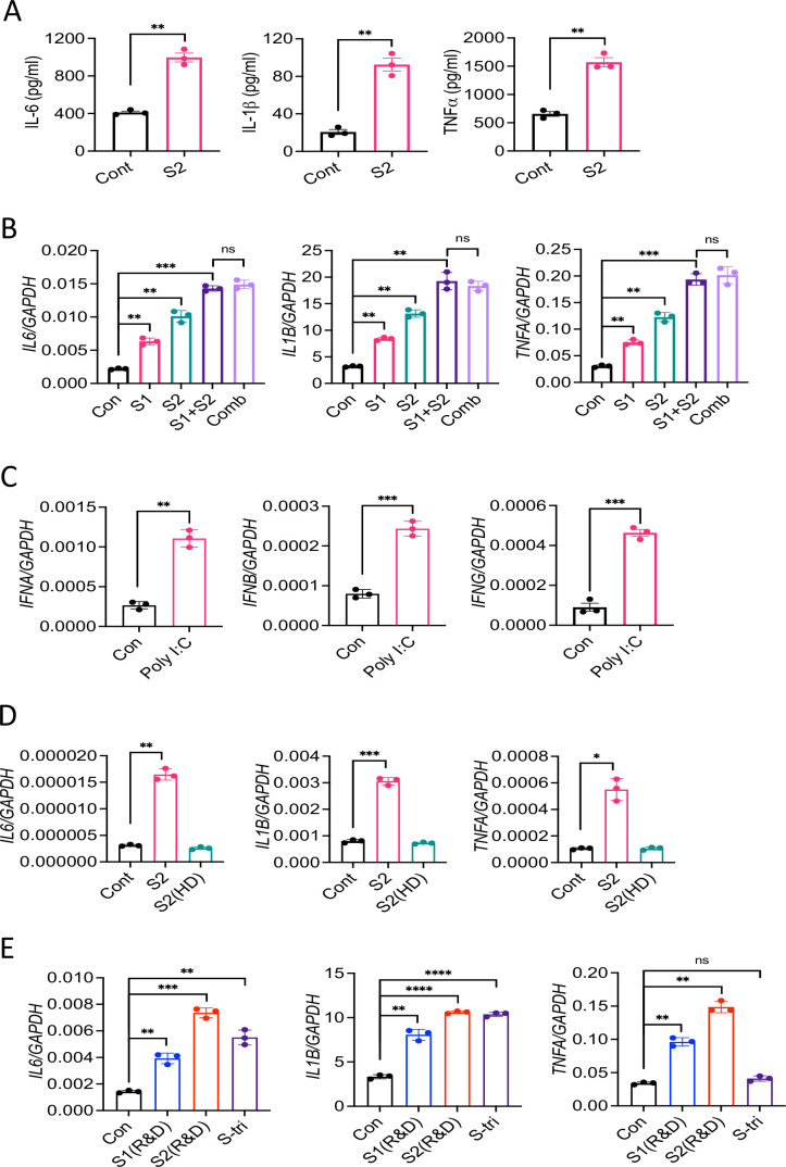 Figure 1—figure supplement 1.