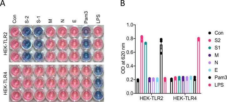 Figure 6—figure supplement 1.